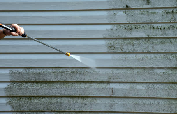 Roof Power Washing Services